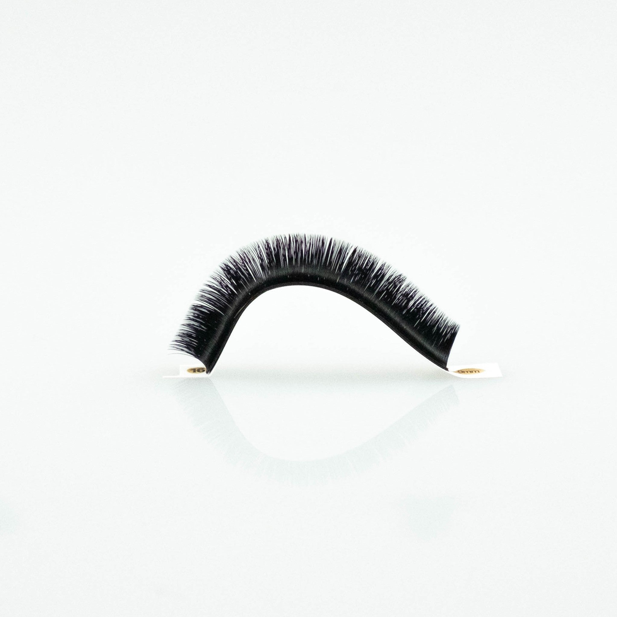 Fan Volume Lashes D Curl/0.07 8mm-15mm