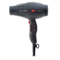 Twin Turbo 3900 Ionic Hairdryer