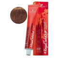 Schwarzkopf IGORA Royal Take Over 7-764 Medium Blond Copper