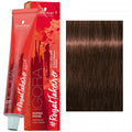 Schwarzkopf IGORA Royal Take Over Dusted Rouge 6-491