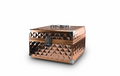 Wahl Rose Gold Case